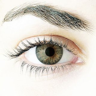 freshlook monthly disposable color contact lens plano 2 lens per box pure hazel