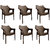 Supreme - Cambridge Chair Wenge -Set Of 6