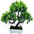 Artificial Plant With Pot - S Shaped Bonsai with Green Leaves and Green Flowers by Random
