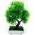 Artificial Plant With Pot - Y Shaped Bonsai with Thin Green and Pointy Leaves by Random