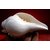 Pooja Sound Shankha Shankh Conch Shell With Brass Stand For Hindu Divine Worship
