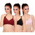 Maroon Multi Color Poly Cotton Set of 3 Women's Bra Combo