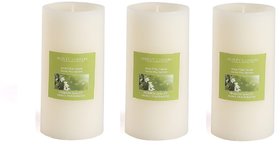 Hosley Set of 3 Sweeet Pea Jasmine 6Inchs Pillar Candles