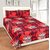Milap Teddy Print Double Bedsheet With 2 Pillow Covers