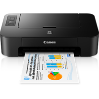 Canon PIXMA TS207 Inkjet Printer Image