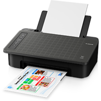Canon PIXMA TS307 Inkjet Printer