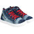 Armado Women's-743 Blue Sports Running Shoes