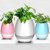 Musical Flower Pot With Leaf Piano Bluetooth
