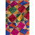 NT Creations Multi Color Women's Traditional Phulkari Dupatta