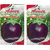 Annex Brinjal Vegetable Seeds Pack Of 2