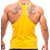 The Blazze Gym Tank Stringer Gym Vest for men
