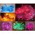 Takson Multicolor Resin Electric Decorative Lights For All Festivals Pack Of 2 (500cm x 1cm x 1cm)