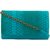 TARUSA Sky Blue Faux Leather Snake Work Sling Bag For Women
