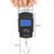 Flynn 50Kg Portable Electronic Scale Digital LCD Pocket Weighing Hanging Scale For Home, Office  Travel Luggage Weighing Scale (Black) Weighing Scale