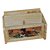 shoppingtara JaipurRaga Beautiful Lady Gemstone Painted Wooden Letter-Pad And Pen-Stand Item
