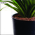 Sereno Bello Plastic Flower Pot Round Planter (12 x 13)  in Black finish (Garden flower pots / Artificial plants)