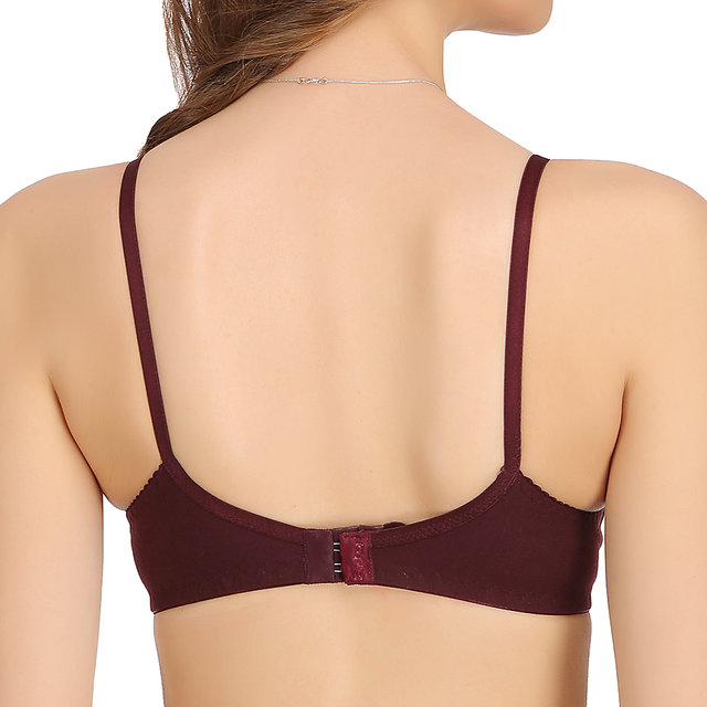 Buy Alishan Non Wired Bra Online @ ₹279 from ShopClues