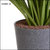 Sereno Bello Plastic Flower Pot Round Planter (12 x 13)  in Dark Grey Stone finish (Home Decor Planters)