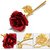 Atorakushon 24K Red Rose With Best Filling 1 Little Message Bottles Best Gift For Valentine Anniversary Birthday