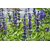 Avikalp Exclusive Premium blue HD Poster AZOHP22