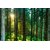 Avikalp Exclusive Premium forest HD Poster AZOHP120