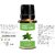 Zaai Naturals Pure Tea Tree Essential Oil for Bath, Body Aroma Diffuser - 15 ML