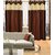 J.D. Handloom 1 Piece Polyester Window Curtain -5 Feet,  Brown  Cream