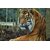 Avikalp Exclusive AZOHP2161 Tiger  Full HD Poster Latest Best New 3D Look Beautiful