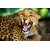 Avikalp Exclusive AZOHP2368 Angry Leopard Shows Sharp Teeth Full HD Poster Latest Best New 3D Look Beautiful