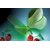 Avikalp Exclusive AZOHP2463 Butterfly And Red Cherries The Glass Full HD Poster Latest Best New 3D Look Beautiful