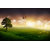 Avikalp Exclusive AZOHP2011 Nature Landscape Tree Hot Air Balloon Full HD Poster Latest Best New 3D Look Beautiful