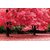 Avikalp Exclusive AZOHP3337 Pink Flowers Trees Beautiful Nature Scenery Full HD Poster Latest Best New 3D Look Beautiful