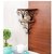 Shilpi Beautiful Wooden Decorative Corner Wall hanging Bracket Shelf/Selves for Living Room/Bed Room Decoration,Size(LxBxH-17x14x10) Inch