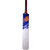 NB CRICKET TENNIS BAT POPULAR WILLOW limited period offer   FREE SHIPPING