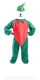 Chilli Red Vegetable Fancy Dress Costume For Kids