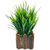 Artificial Plant By Adaspo With Green Grass and White Kali Buds As Miniature PLanter In Wooden Pot (16X22X16 CM ) (White)