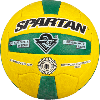 throw ball price
