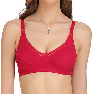 Buy Alishan non wired bra Online @ ₹295 from ShopClues