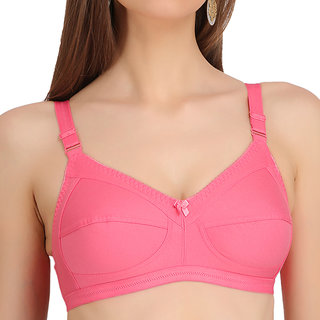 Buy Alishan non wired E cup bra Online @ ₹311 from ShopClues
