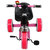 Bluday LED Pink  Tricycle for Kids 1 to Years