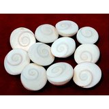Original Natural Gomti Gomati Chakra - 51 pieces best for Diwali Puja