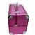 Pride Flora to store cosmetics Vanity Box (Pink)