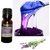 Shagun Gold Lavender Essential Oil 10 ML 100 Pure, Natural  Therapeutic Grade Choice For Aromatherapy, Massage  Aroma