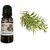 Shagun Gold Tea Tree Essential Oil for Skin, Hair and Acne care ,10 ML