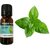 Shagun Gold Peppermint Oil 10 ML 100 Natural Ideal For Use In Aromatherapy For Skin  Muscles Use In Aroma Diffusers To