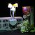 Mushroom LED Night Light Plug-in Wall Lamp Bedroom Decor