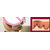 AFY Lip Private Part Nipple Bleaching Whitening Fresh Up Pinkish Cream Magic Pink Intimate Bleaching  Cream-SAME DAY SHI