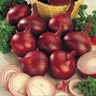 Seeds Dark Red Onion Supers Seeds For Kitchen Garden