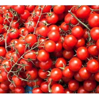 Cherry Tomato Fast Germination Seeds