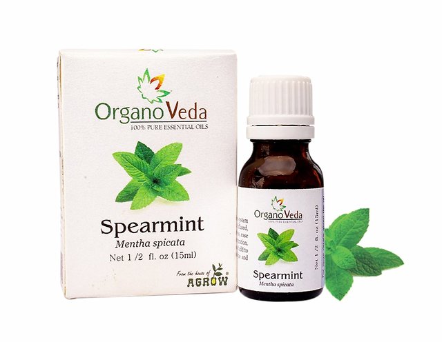 Buy Organo Veda Spearmint Essential Oil Refreshing 15ml Online